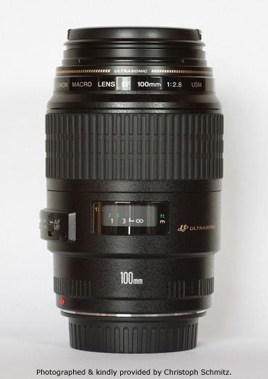 More pictures of the Canon EF 100mm F2.8 Macro USM